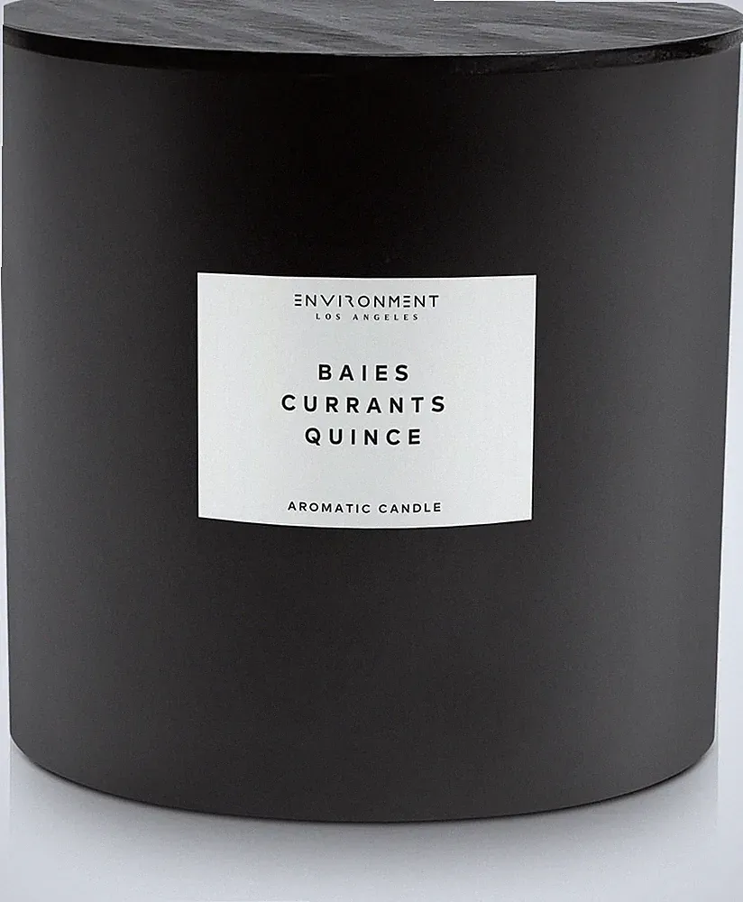 Inspired by Designer Perfume DYPT Baies Candle, 55Oz Luxury Coconut Apricot Wax